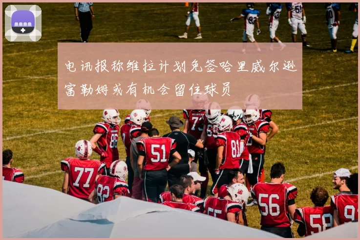 电讯报称维拉计划免签哈里威尔逊富勒姆或有机会留住球员